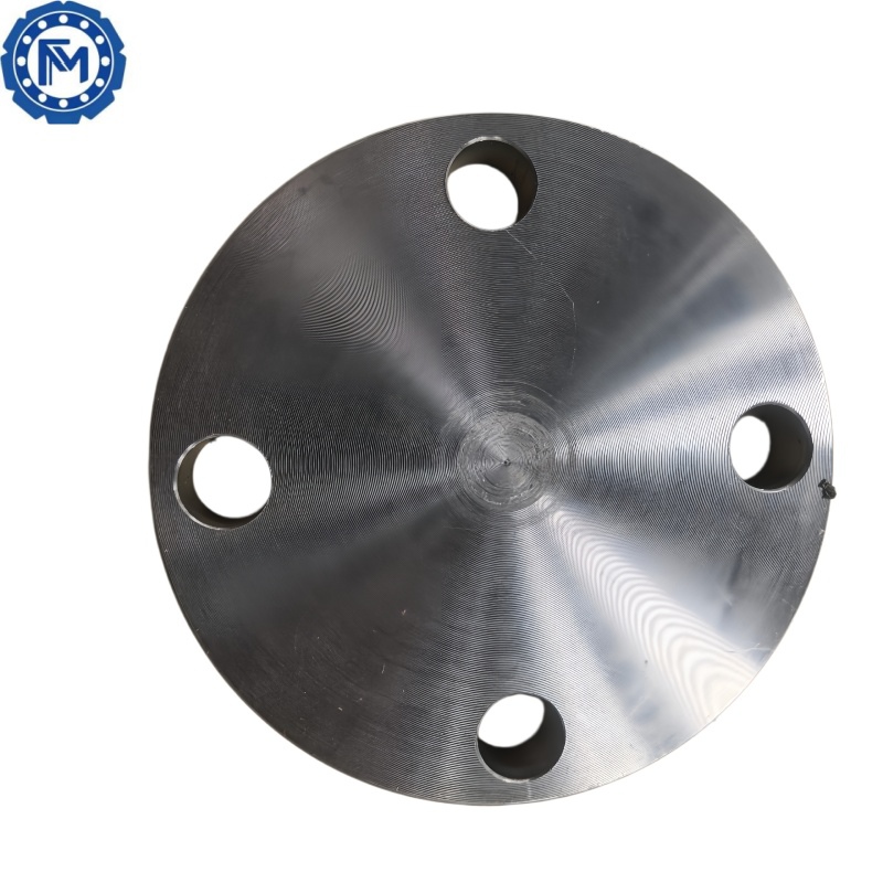 DIN Blind Flanges